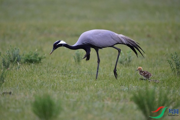 _DSC6276.jpg
