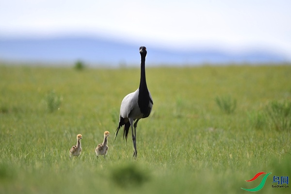 _DSC6389.jpg