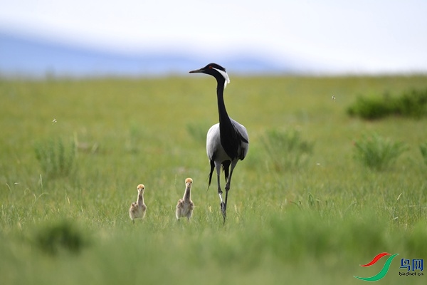 _DSC6402.jpg