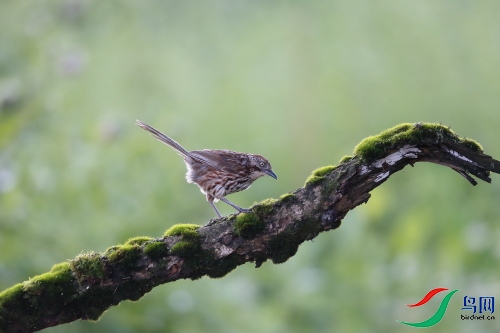 DPP_0209.JPG