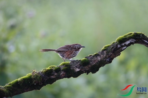 DPP_0453.JPG