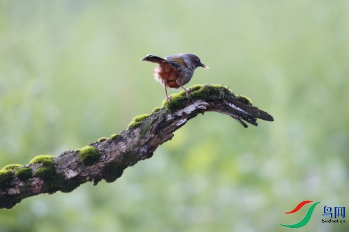DPP_0493.JPG