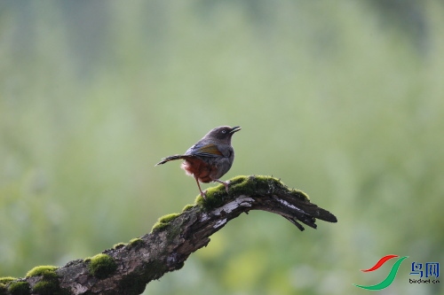 DPP_0496.JPG