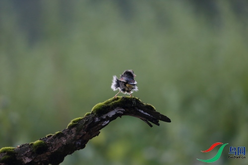 DPP_0707.JPG