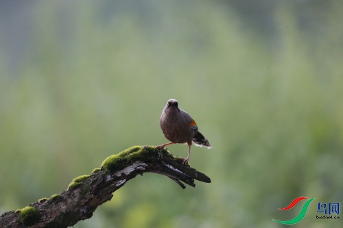 DPP_0744.JPG