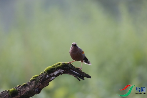 DPP_0757.JPG