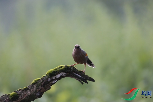 DPP_0760.JPG