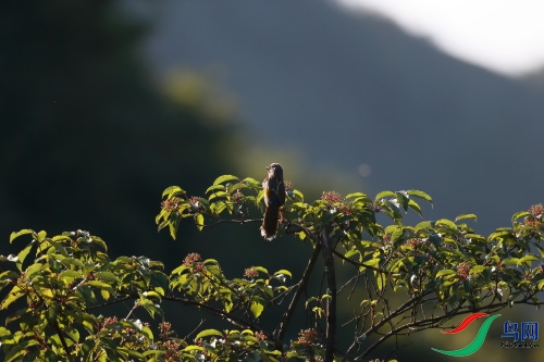 DPP_0795.JPG