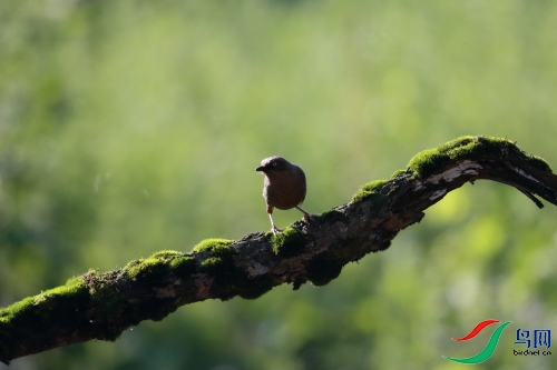 DPP_0959.JPG