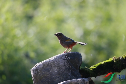DPP_0970.JPG