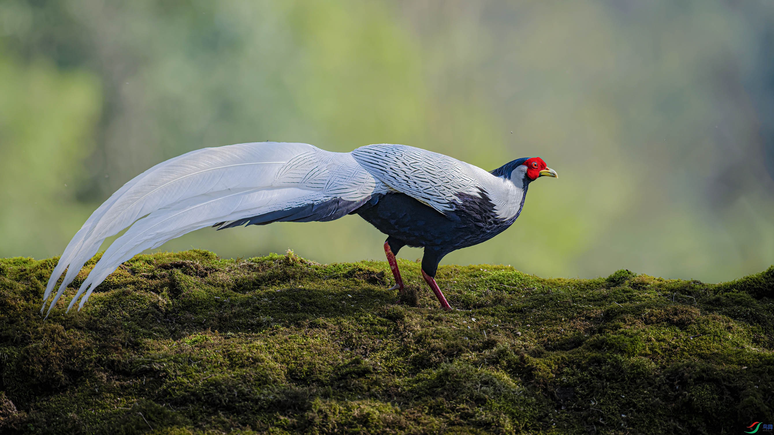 _DSC4389_DxO.jpg