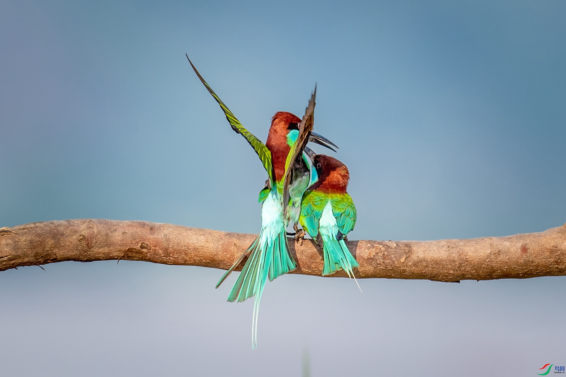 ������_DSC7745-1.jpg