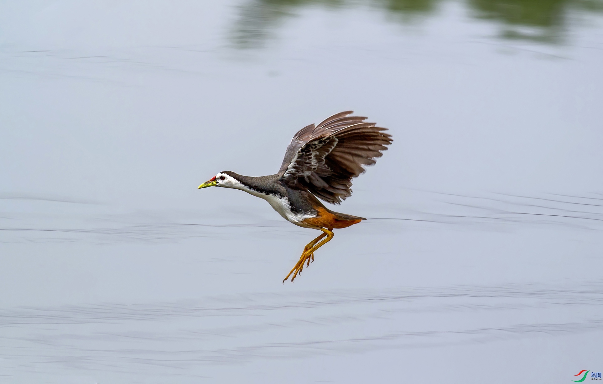 IMG_1786_DxO.jpg