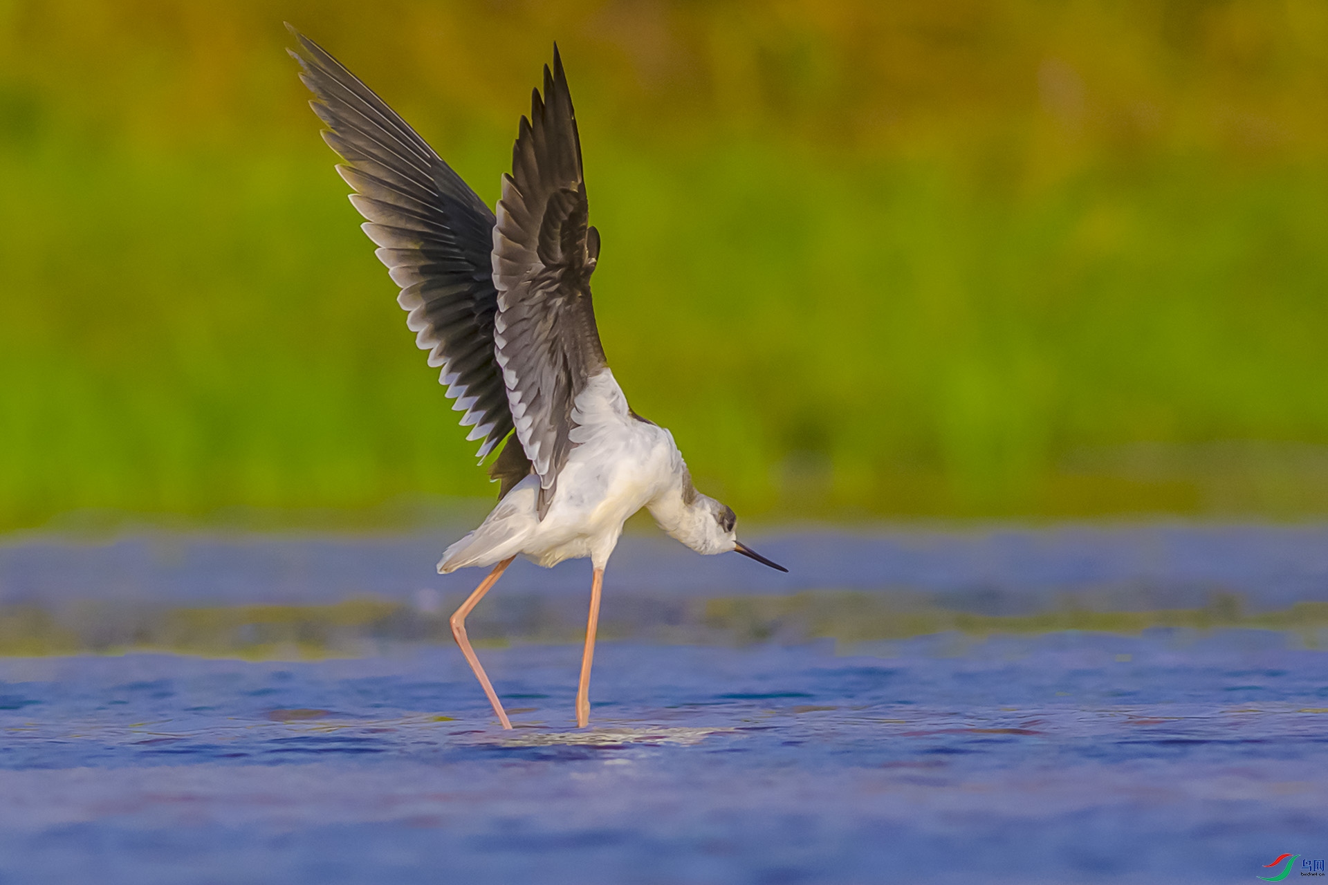 322A7694F-0.jpg