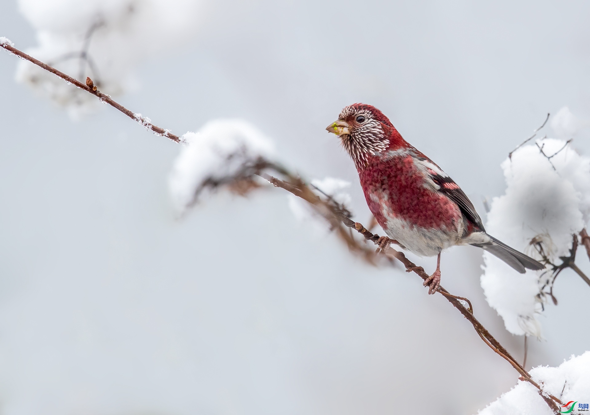 77089  ��ʦ�������Ĵ�ʡ������������.jpg