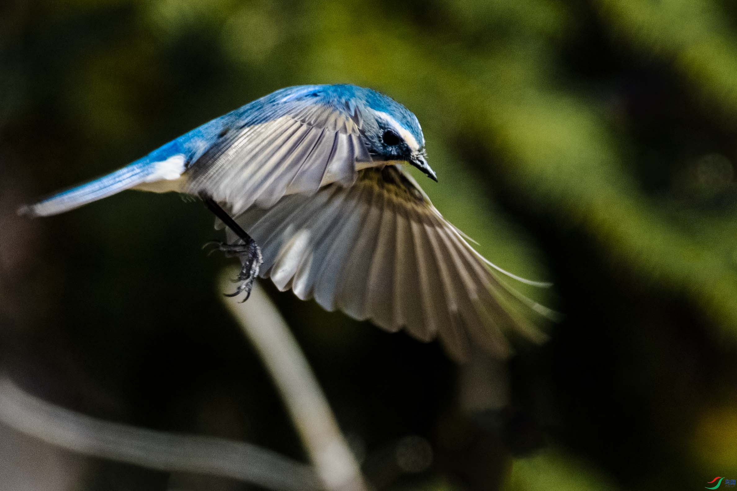 ���ɷ���2