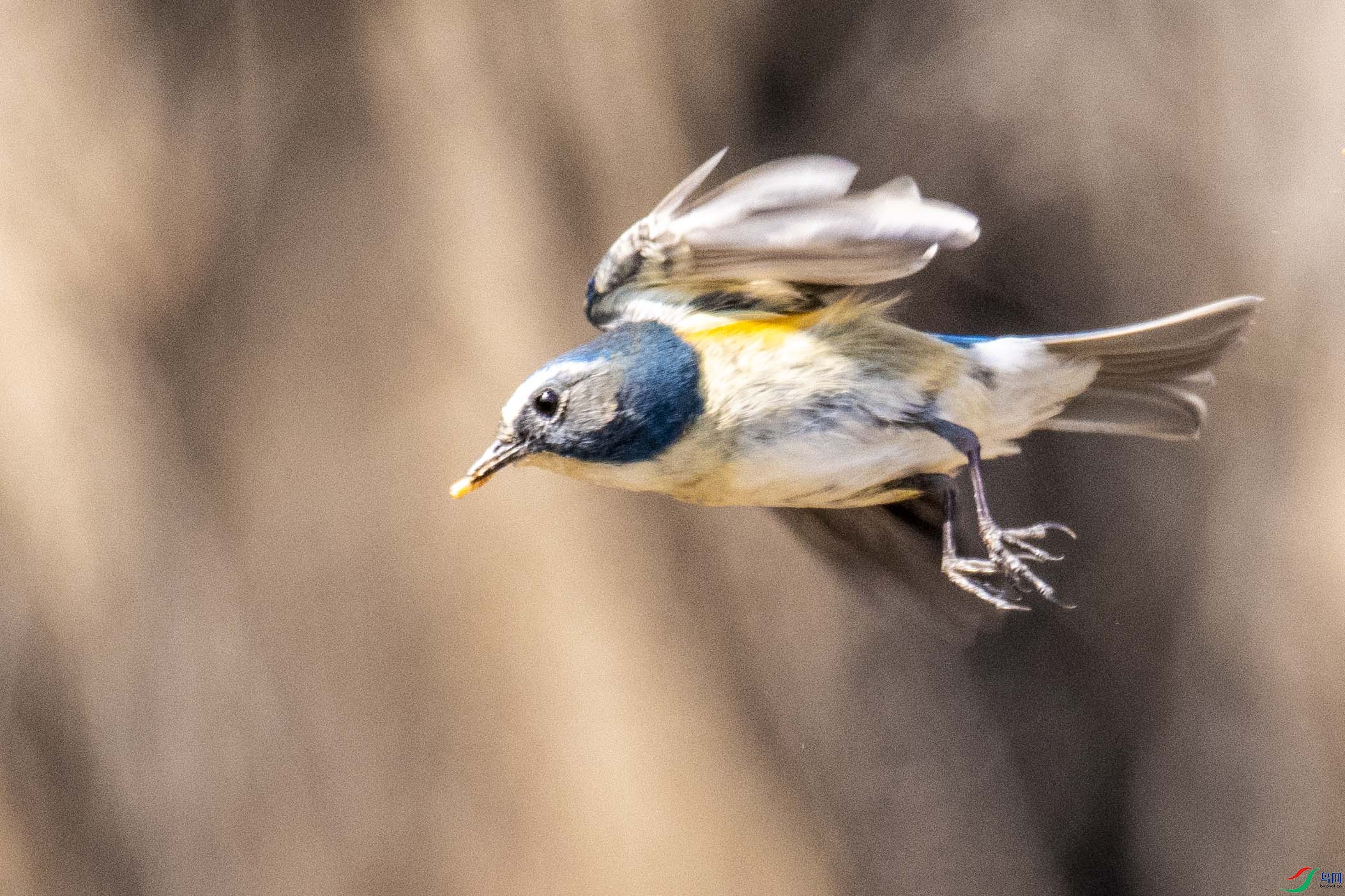 ���ɷ���3
