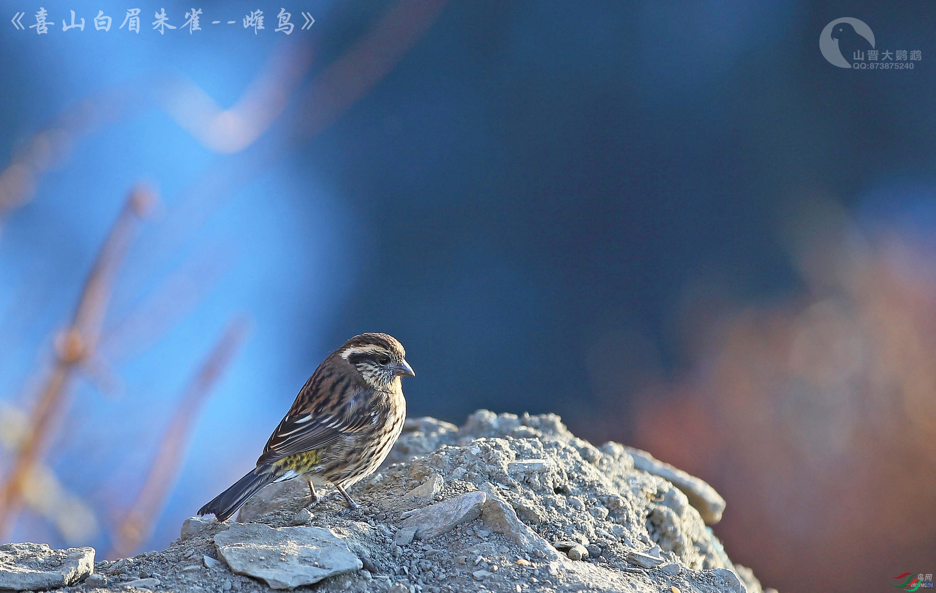 ɽ��������  ��ʦ����������������ɽ�ϵ���2.jpg