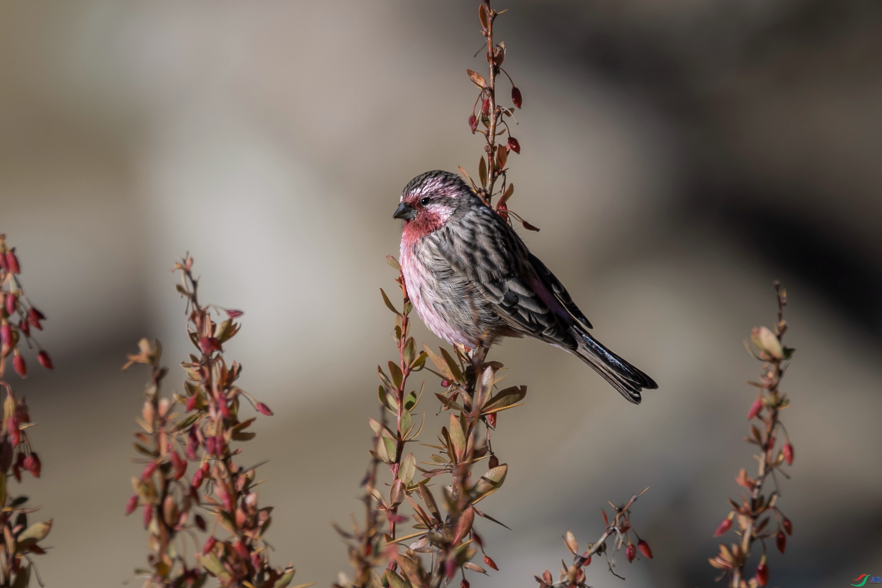 ���꽭��  ��ʦ������������������������ˮ��.jpg