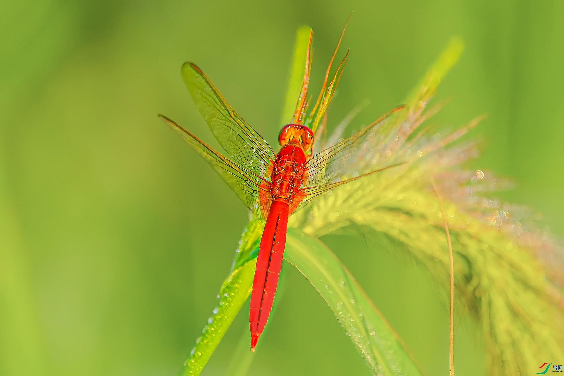 DSC_8365.JPG