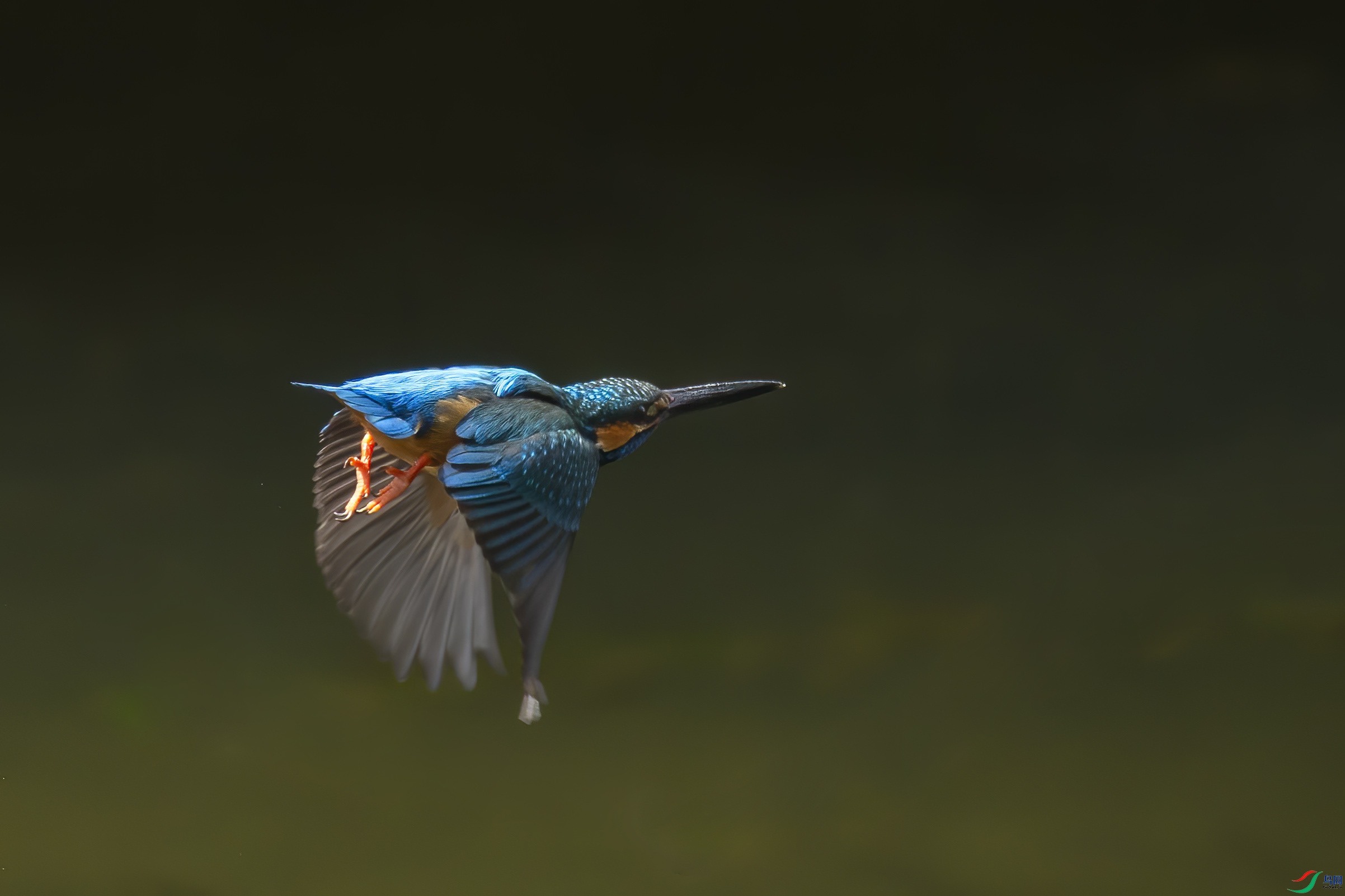 B09J8027-2.jpg