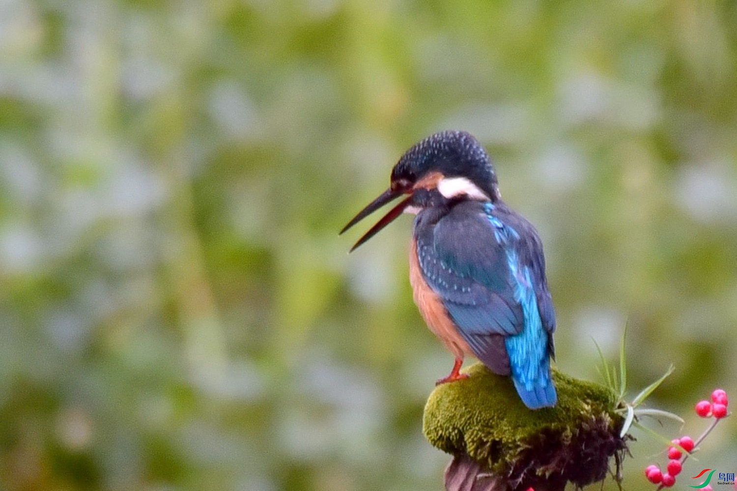 DSC_2587.JPG