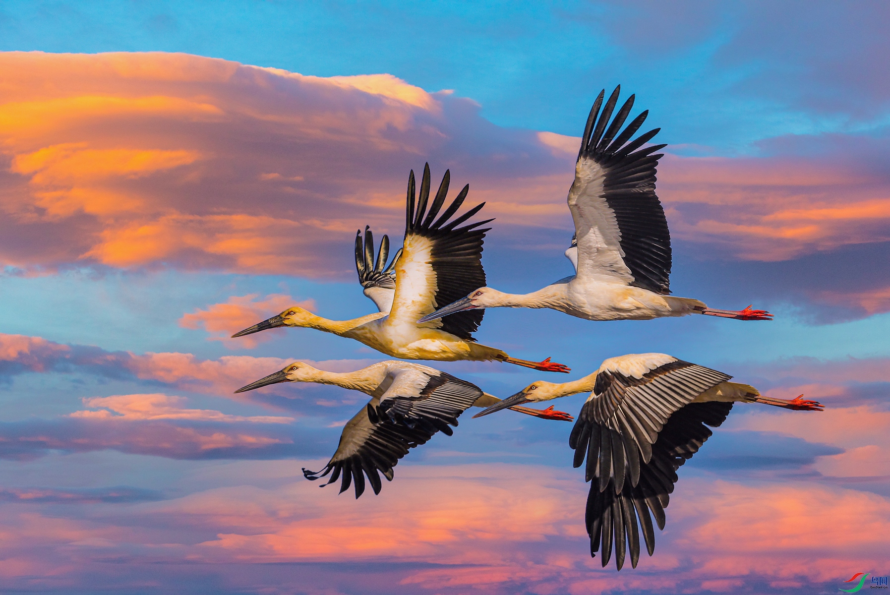 ���Ų��Ʒ� - ����.jpg