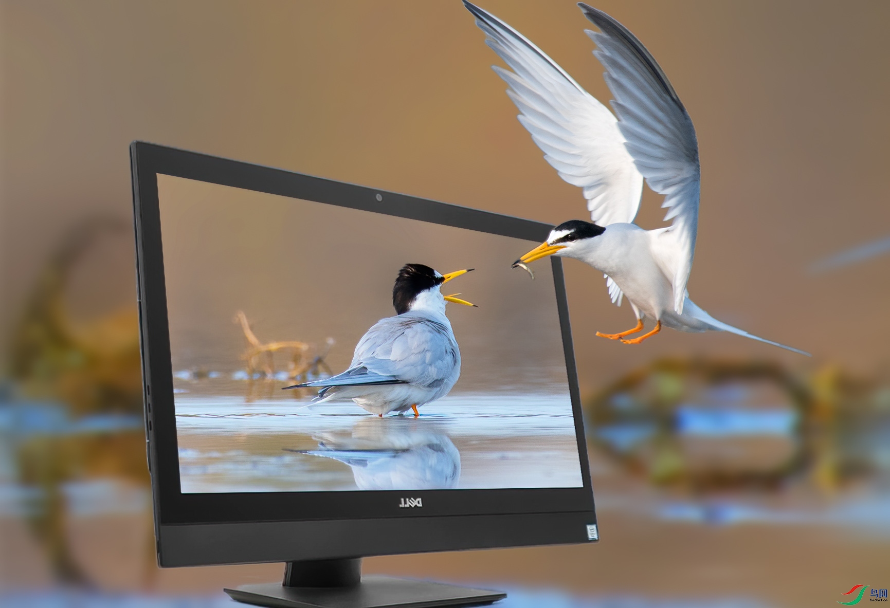 �ν�� ����.jpg