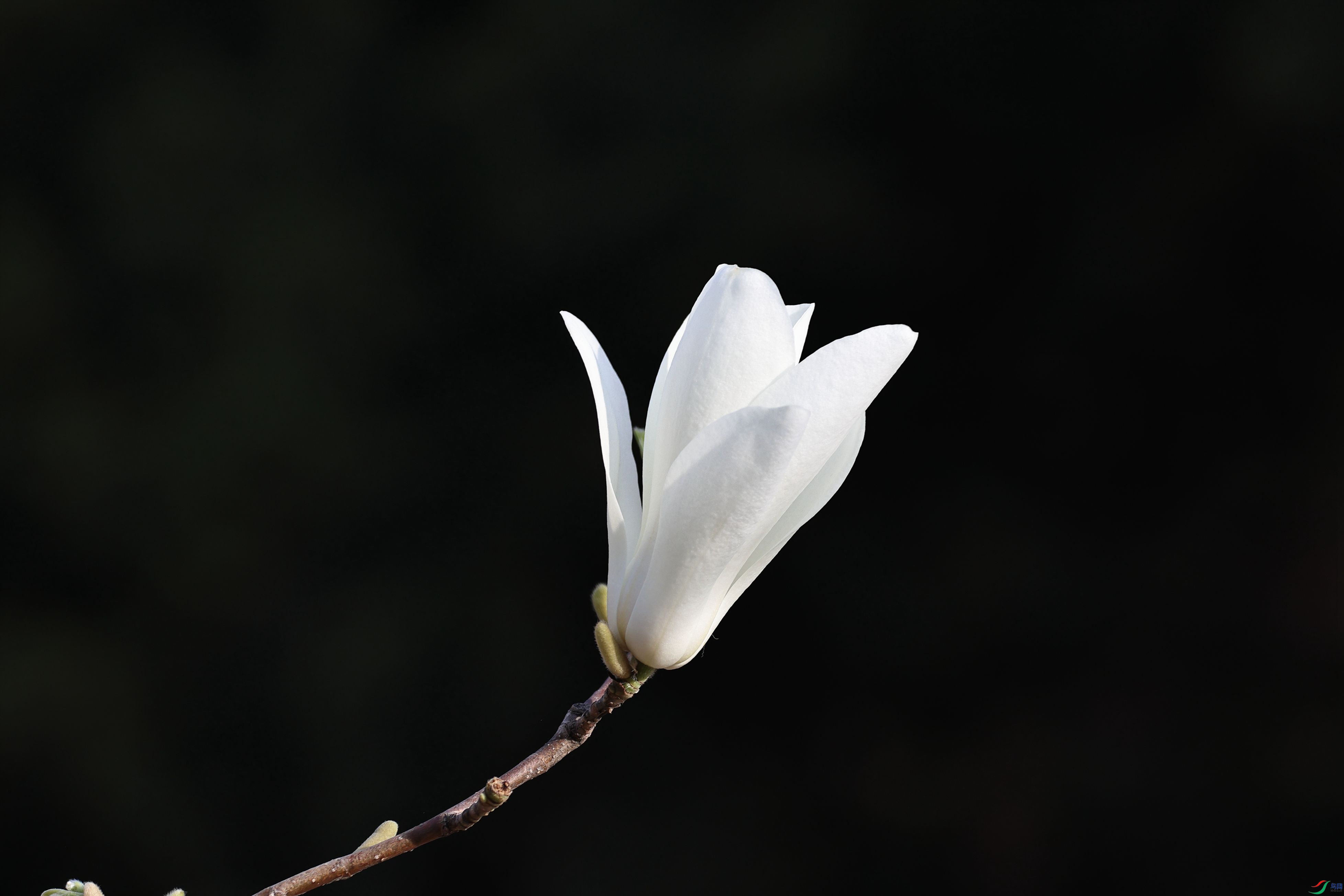 3W6A4609_����.jpg