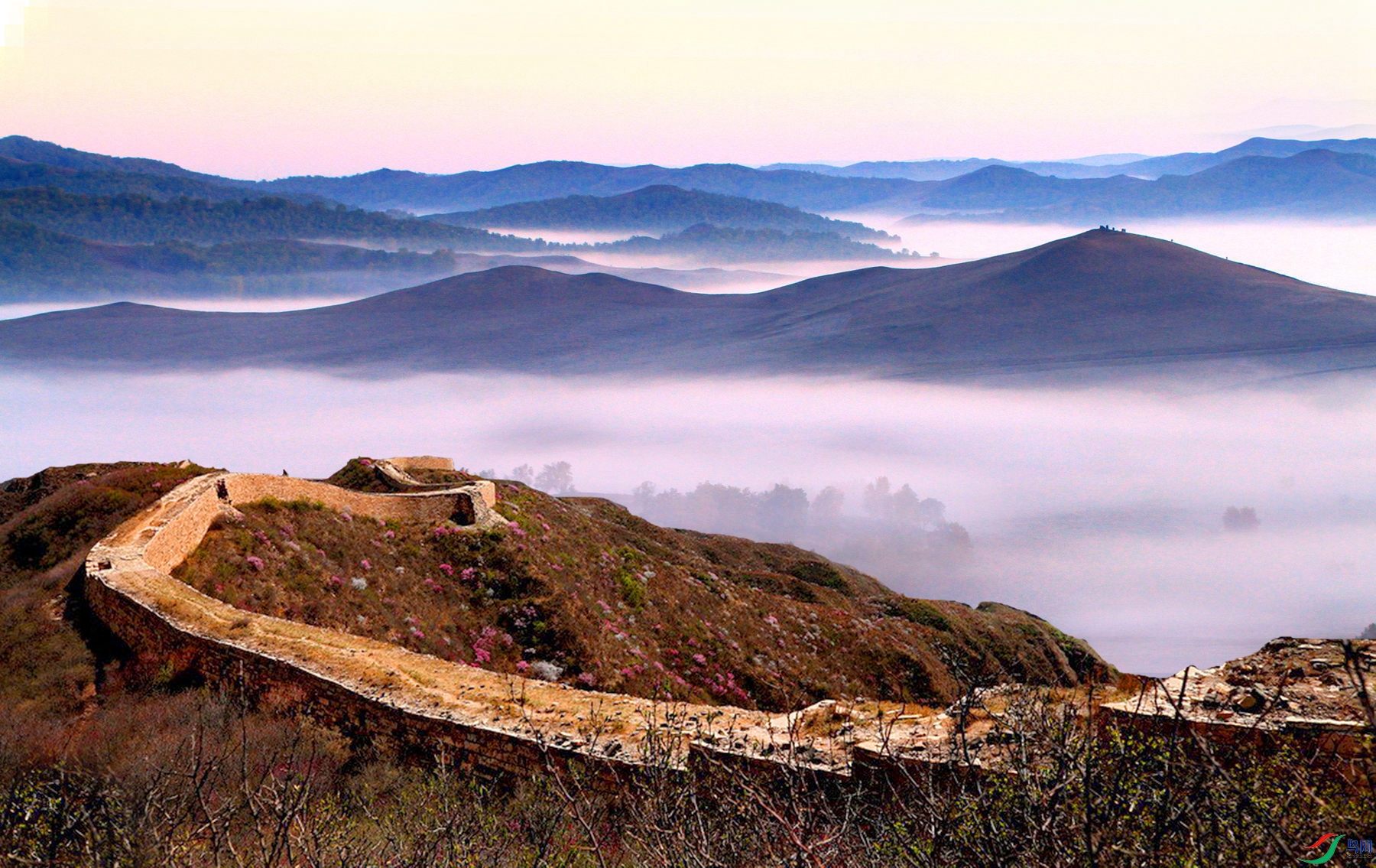 �ƺ� ����.jpg