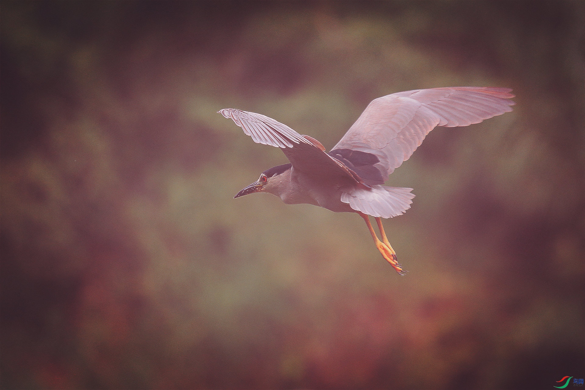 1Y0A1632_����.jpg