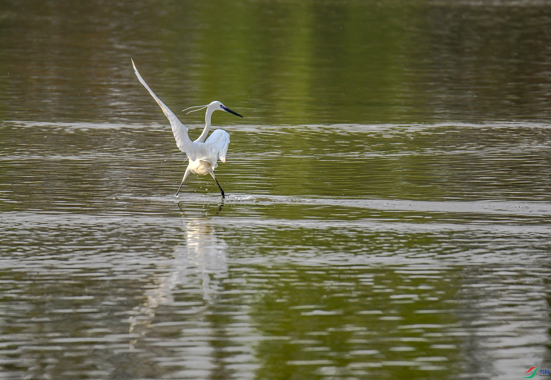 DSC_4506.jpg