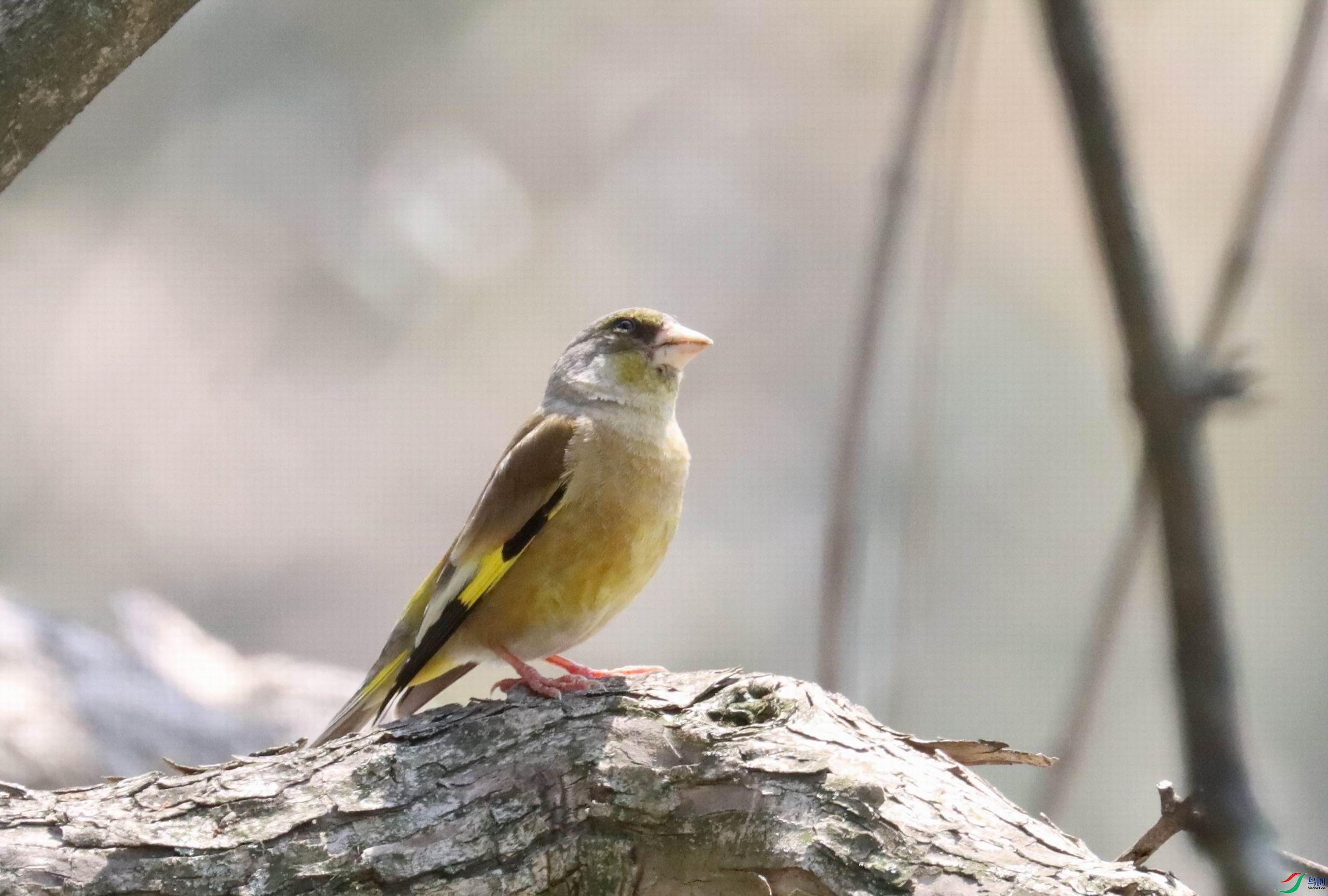 ������С �����ع� IMG_8822.JPG