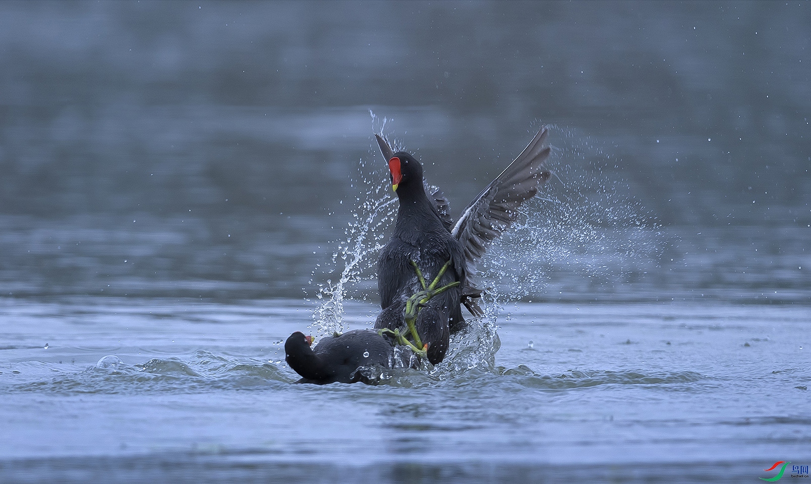 DSC_2840 ����z.jpg