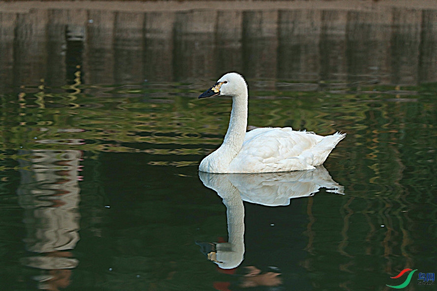 BW6I3755_����_����.jpg