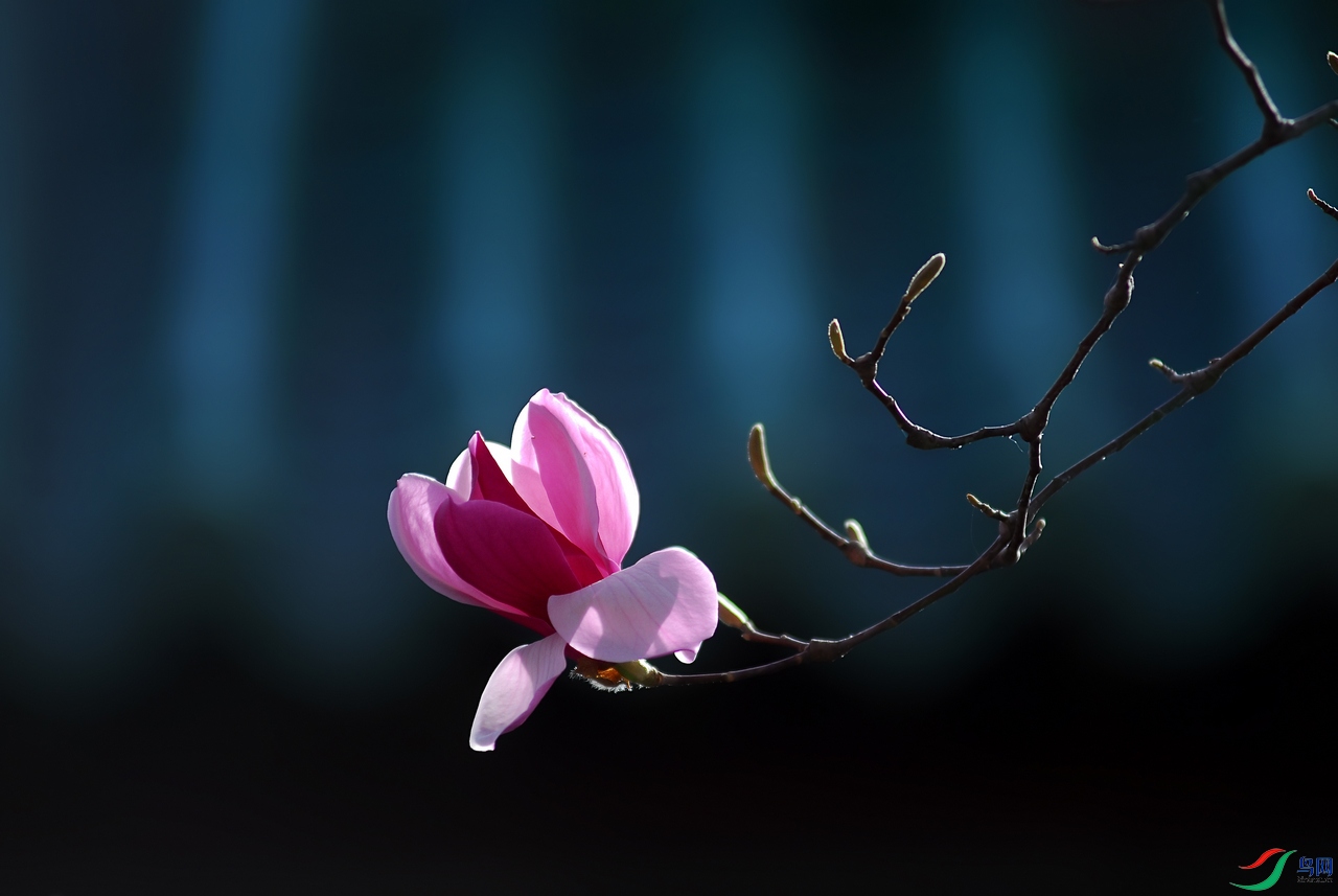 DSC_0077 ����.jpg