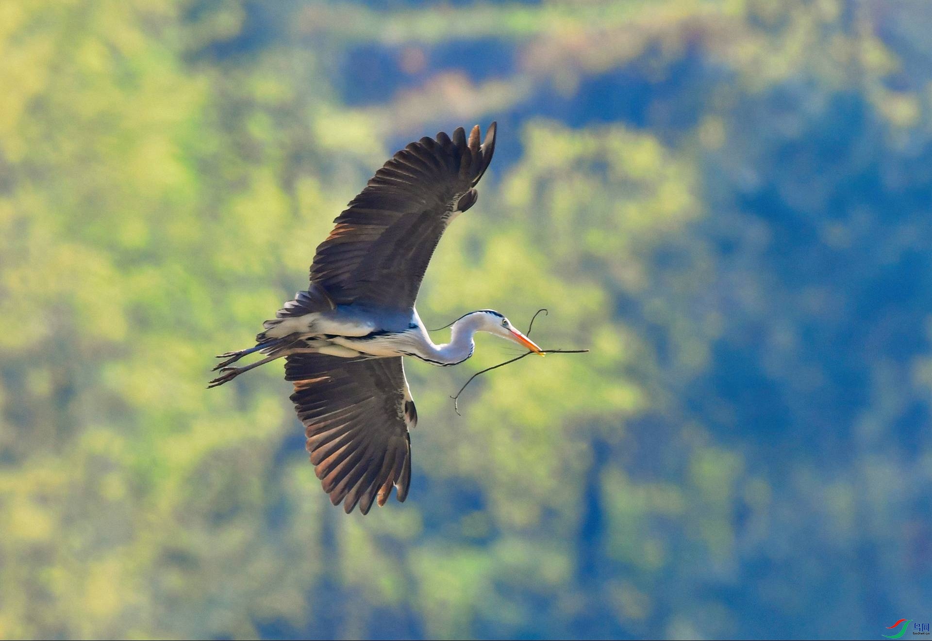 DSC_6792-Exposure (1).jpg