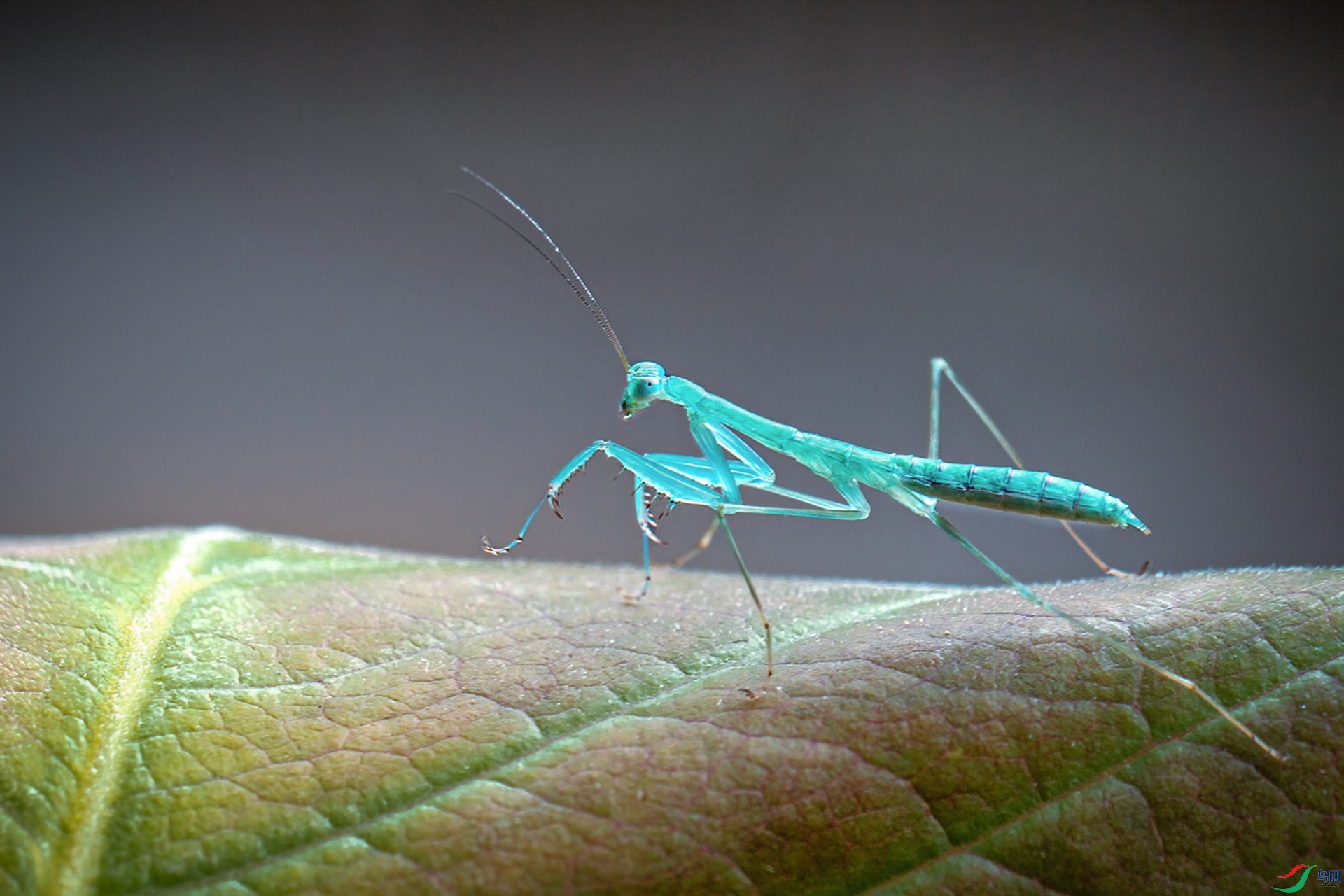 2S6A3455.jpg