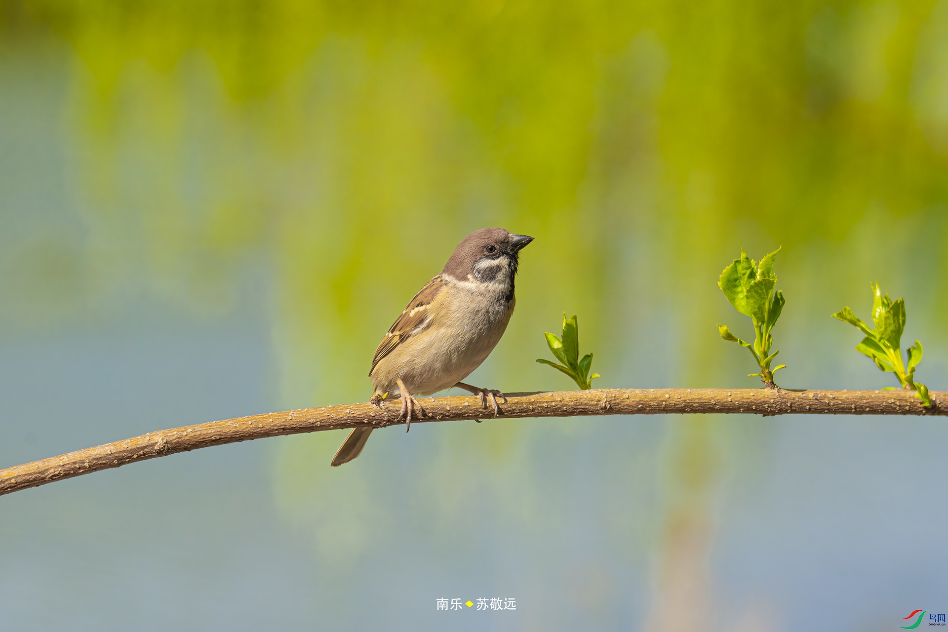 _DSC6867С.jpg