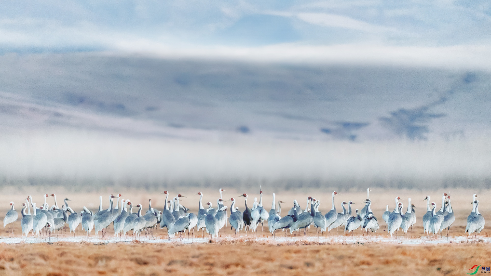B74I4866-1aaa1.jpg