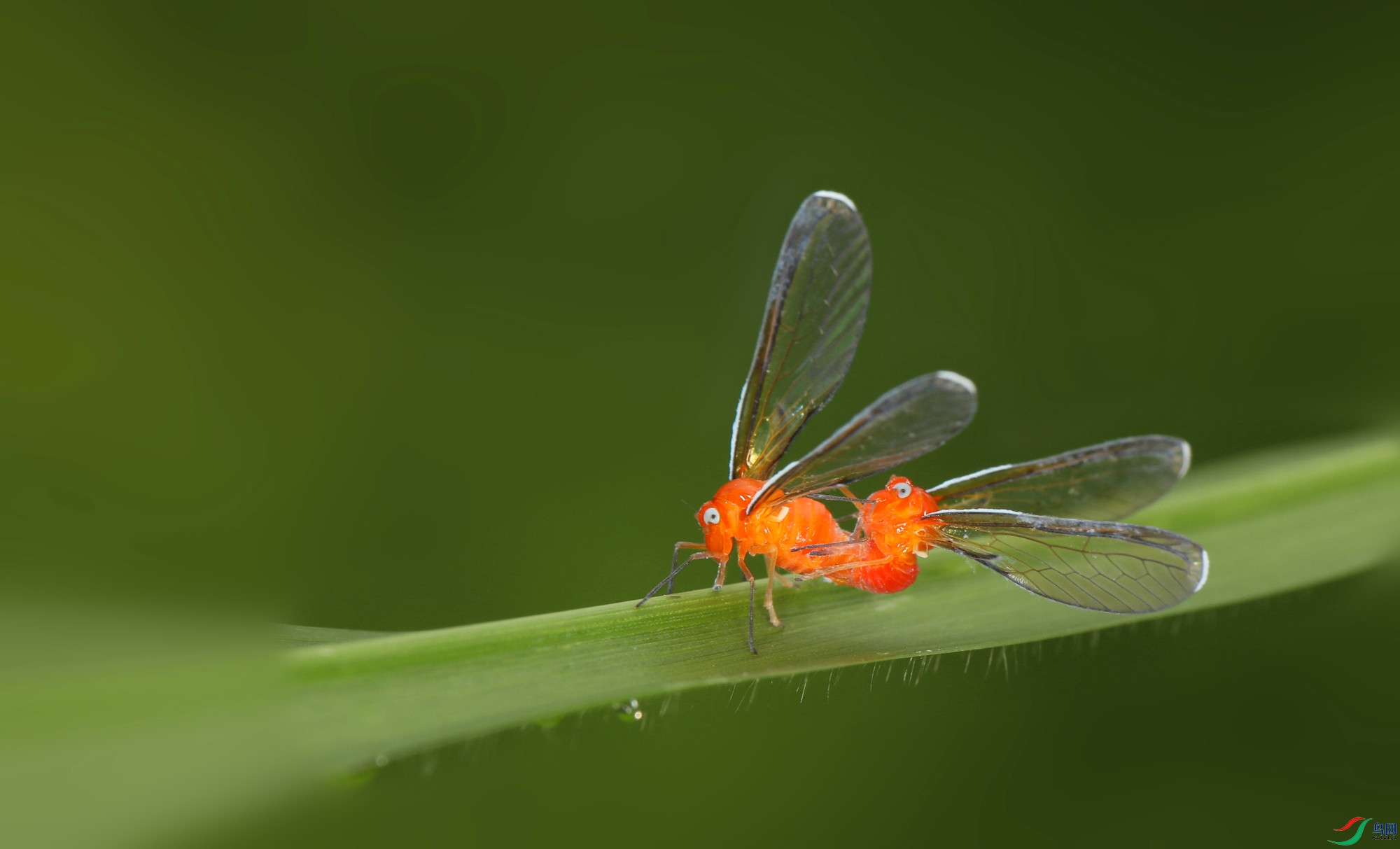 EC6A9653_����.jpg