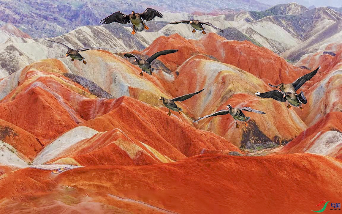 ��������¼ 1.jpg