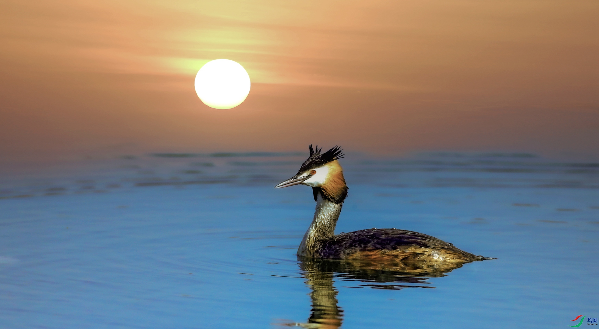 ��������ǹ���ܵ�����