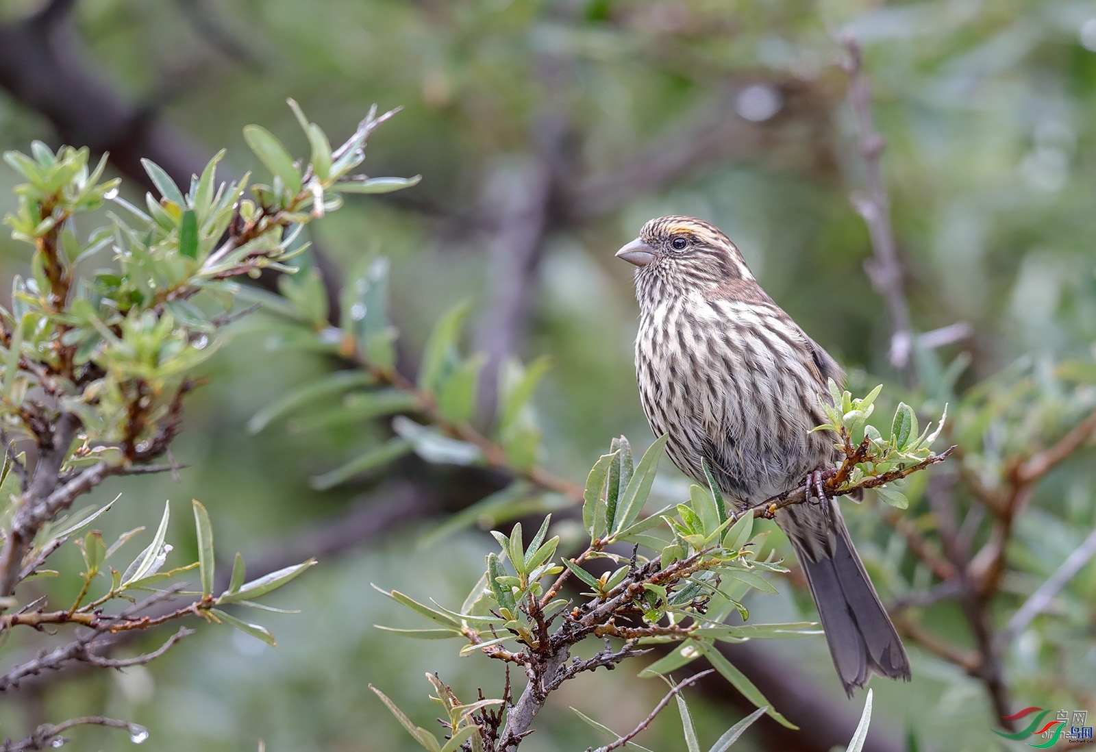 77089  ��ʦ�������Ĵ�ʡ���β��������ݿ�����.jpg