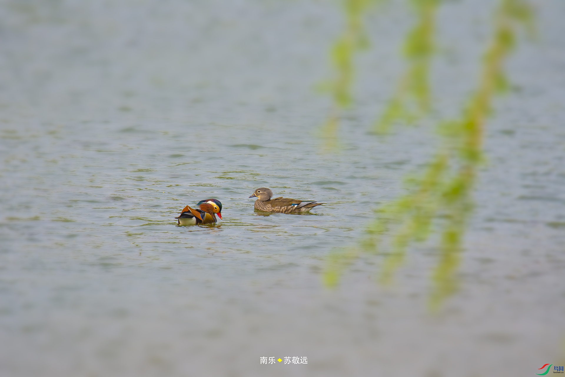 _DSC6960С.jpg