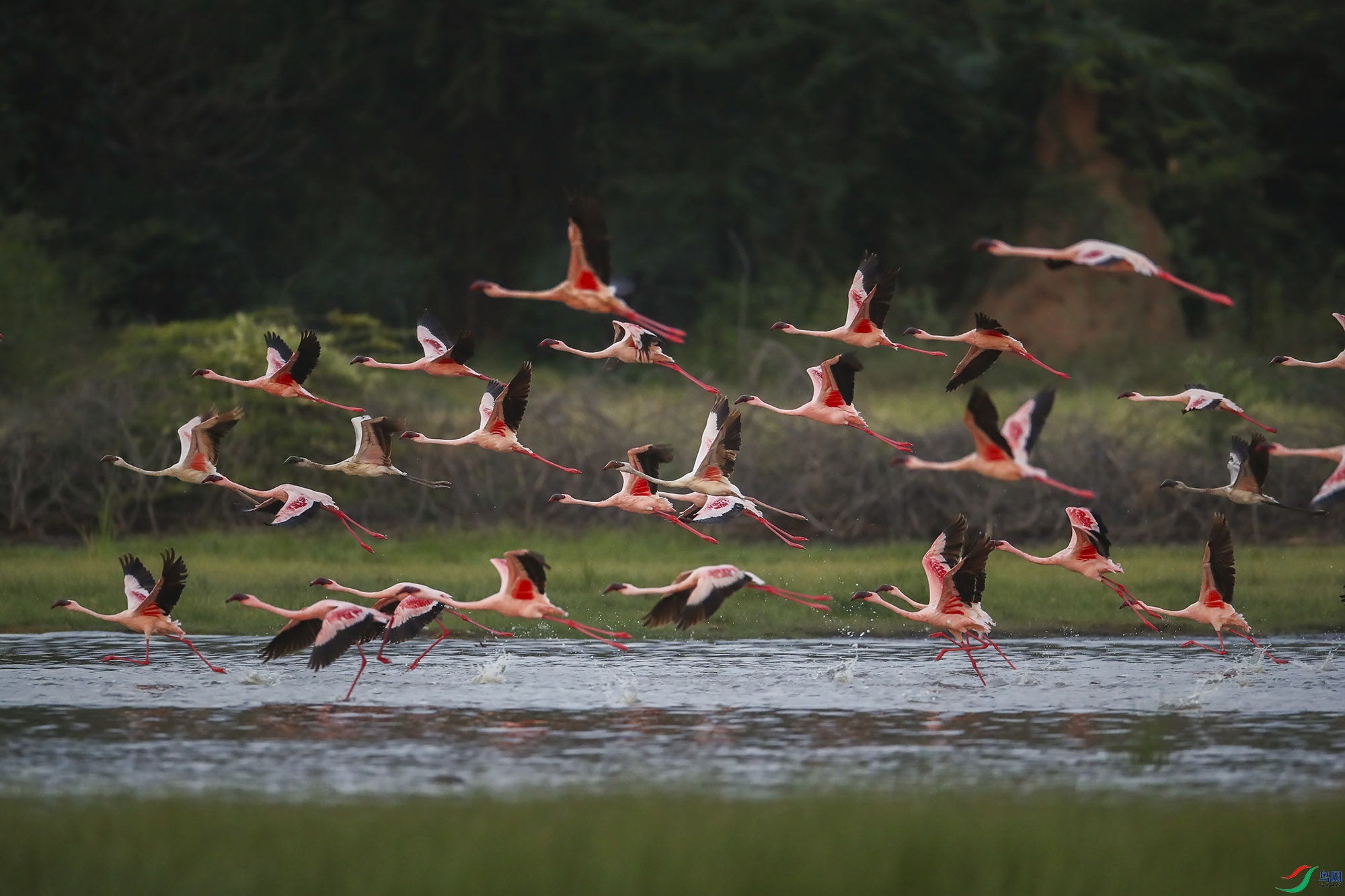 913675227391748672- (6).jpg