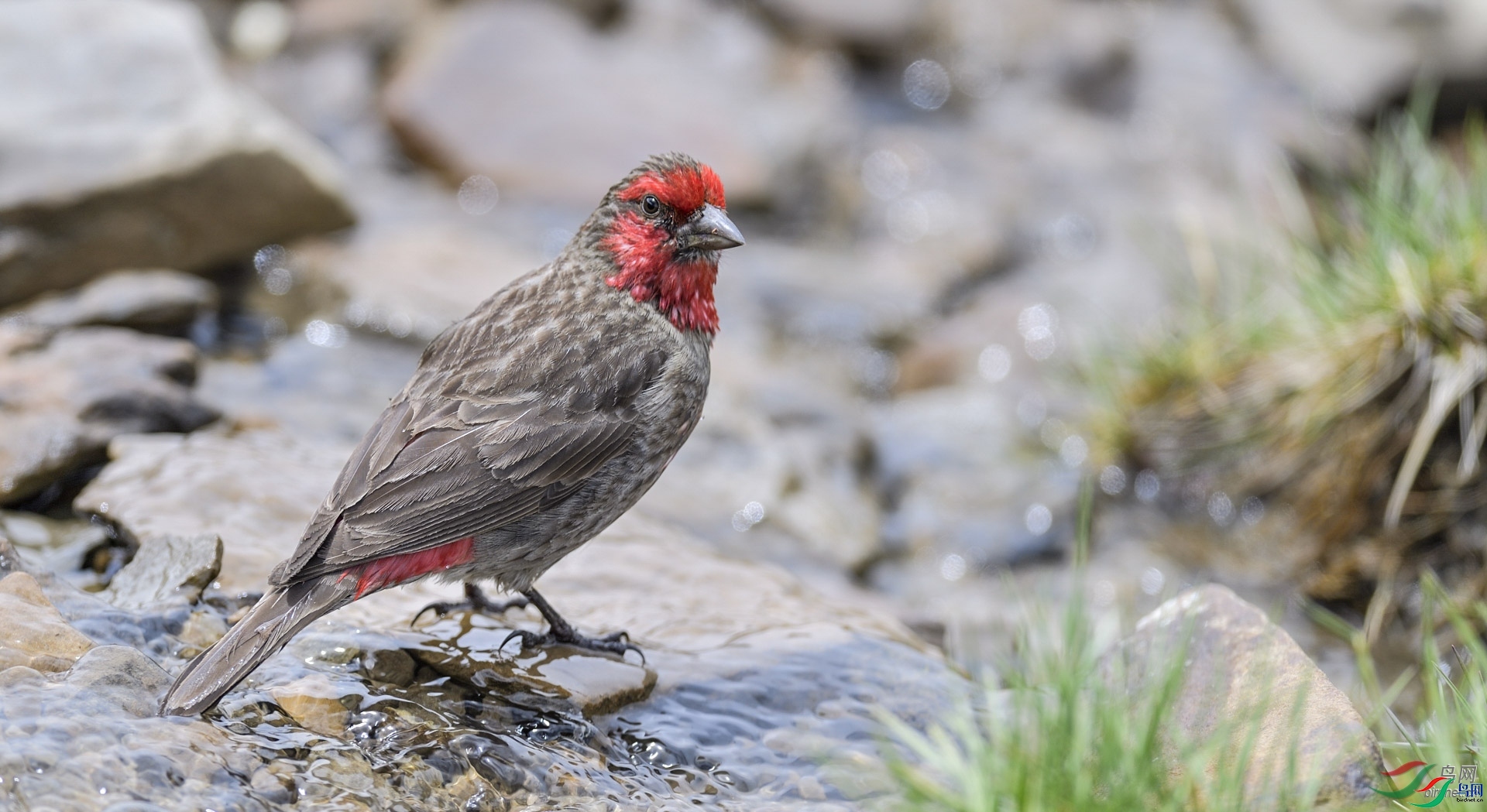 ������ ��ʦ�������Ĵ�ʡ���Ӳ���Ǽ���������봨��.jpg