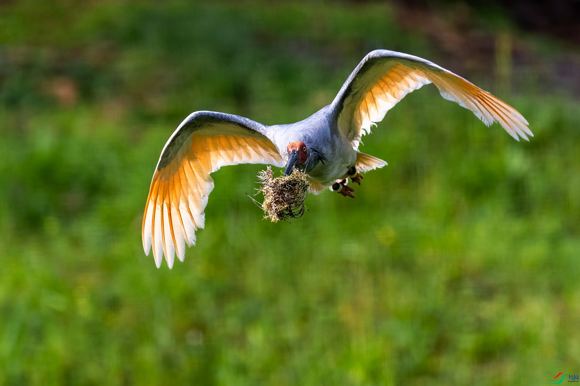 _02A5758����-2 ����.jpg