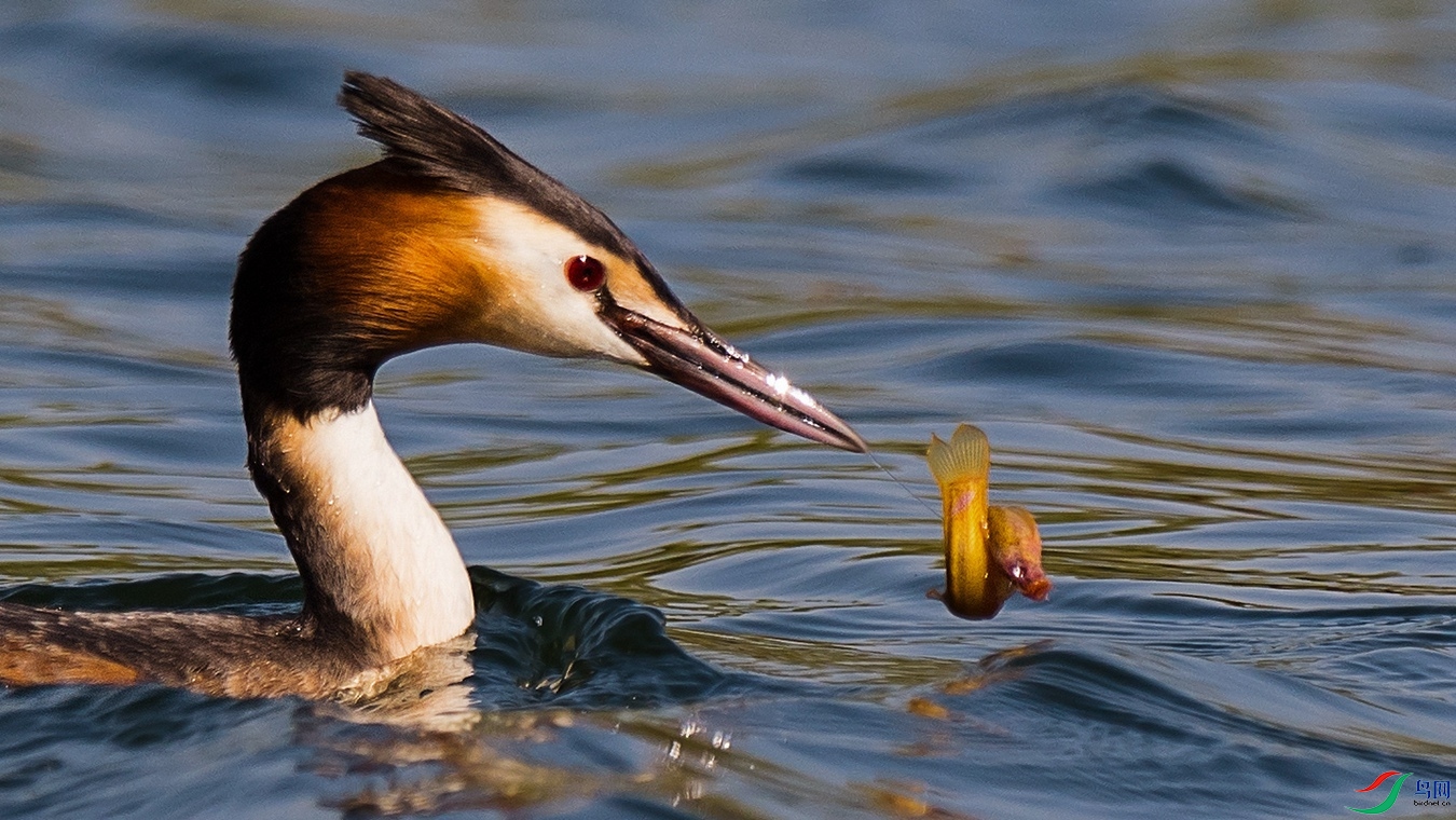 XC51_6551 - ����.jpg