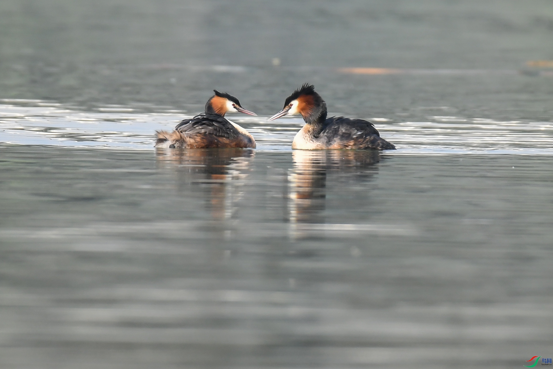 DSC_2154.jpg